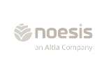 Noesis logo